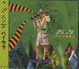 [USED]カメレオ/ハイカラ(通常盤)