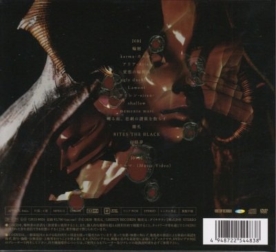 画像2: [USED]The TH13TEEN/ENIGMA(初回限定盤/CD+DVD)