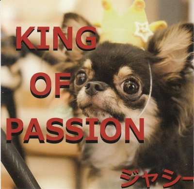 画像1: [USED]ジャシー/KING OF PASSION