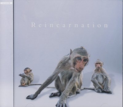 画像1: [USED]NEVERLAND/Reincarnation([初回限定盤/CD+DVD)
