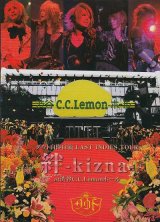 [USED]ダウト/自作自演 LAST INDIES TOUR【絆-kizna-】at渋谷C.C.Lemonホール(2DVD)