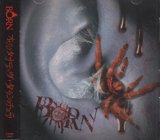[USED]BORN/オルタナティヴ・タランチュラ(初回限定盤B/CD+DVD)