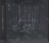 [USED]R指定/forest(通常盤)