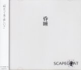[USED]SCAPEGOAT/昏睡(A type/CD+DVD)