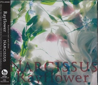 画像1: [USED]Rayflower/Narcissus