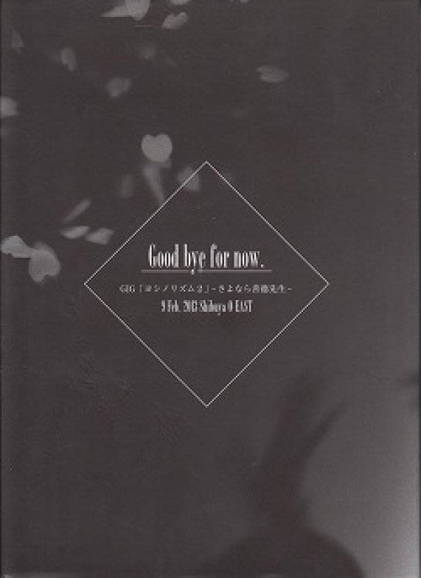 画像1: [USED]杉本善徳/Good bye for now..(2DVD) (1)