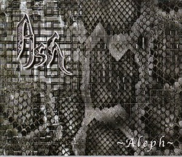 画像1: [USED]Ash/-Aleph- (1)