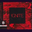 画像1: [USED]Royz/IGNITE(初回限定盤BType/CD+DVD/トレカ2枚付) (1)