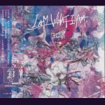 画像: [USED]Royz/I AM WHAT I AM(初回限定盤B/CD+DVD/トレカ2枚付)