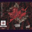 画像1: [USED]Royz/LEON(初回限定盤Btype/CD+DVD/トレカ2枚付) (1)