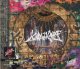 画像: [USED]Royz/KAMIKAZE(初回限定盤Btype/CD+DVD/トレカ2枚付)