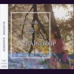 画像: [USED]BLUEVINE/RAINDROP