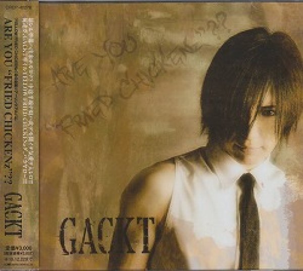 画像1: [USED]GACKT/ARE YOU FRIED CHICKENz?? (1)