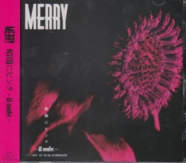 画像1: [USED]MERRY(メリー)/暗闇にピンク-All memVer.- (1)