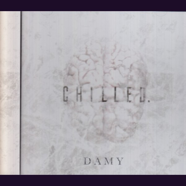 画像1: [USED]DAMY/chilled.(B-TYPE) (1)