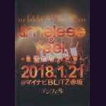 画像: [USED]アンフィル/timeless & feel.-永遠のない世界-(DVD)