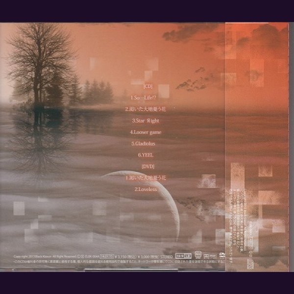 画像2: [USED]Black Klaxon/ReaL(A TYPE/CD+DVD) (2)