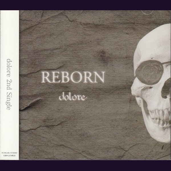 画像1: [USED]dolore/REBORN (1)