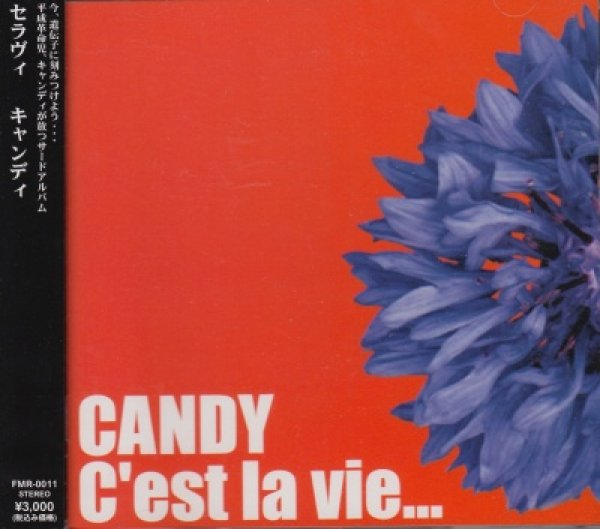 画像1: [USED]CANDY/C'est La vie… (1)