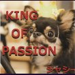 画像1: [USED]ジャシー/KING OF PASSION (1)