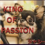 画像: [USED]ジャシー/KING OF PASSION