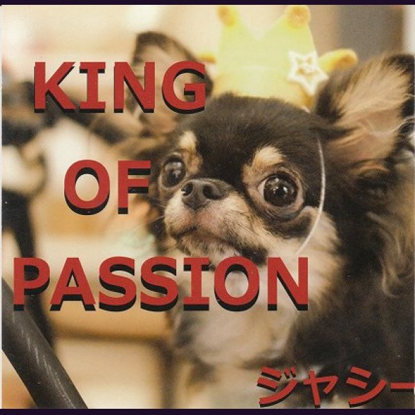 画像1: [USED]ジャシー/KING OF PASSION (1)