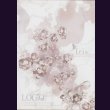 画像1: [USED]LOGiQ/Iris(初回限定盤/CD+DVD) (1)