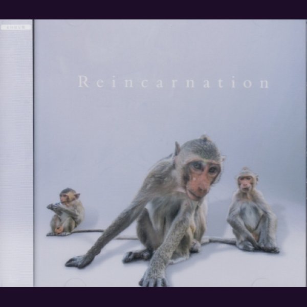 画像1: [USED]NEVERLAND/Reincarnation([初回限定盤/CD+DVD) (1)