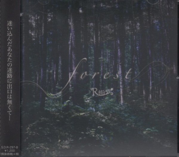 画像1: [USED]R指定/forest(通常盤) (1)