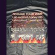 画像1: [USED]ROUAGE/(パンフ)TOUR 2000 Lab red-hot, honey dip  Lab red-hot, I need you (1)