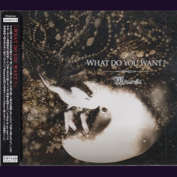 画像1: [USED]Misaruka(ミサルカ)/-WHAT DO YOU WANT?-(全国流通盤) (1)