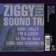 画像2: [USED]ZIGGY/SOUND TRAX (2)