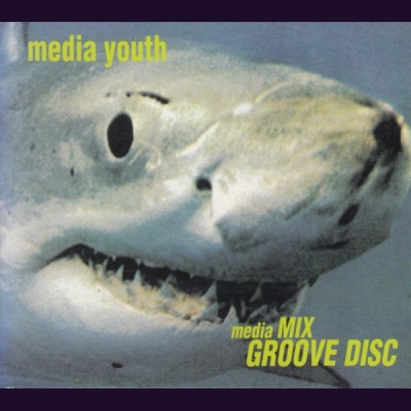 画像1: [USED]media youth/media MIX-GROOVE DISC- (1)