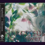 画像: [USED]Rayflower/Narcissus